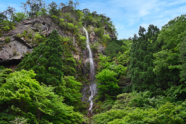 智頭町