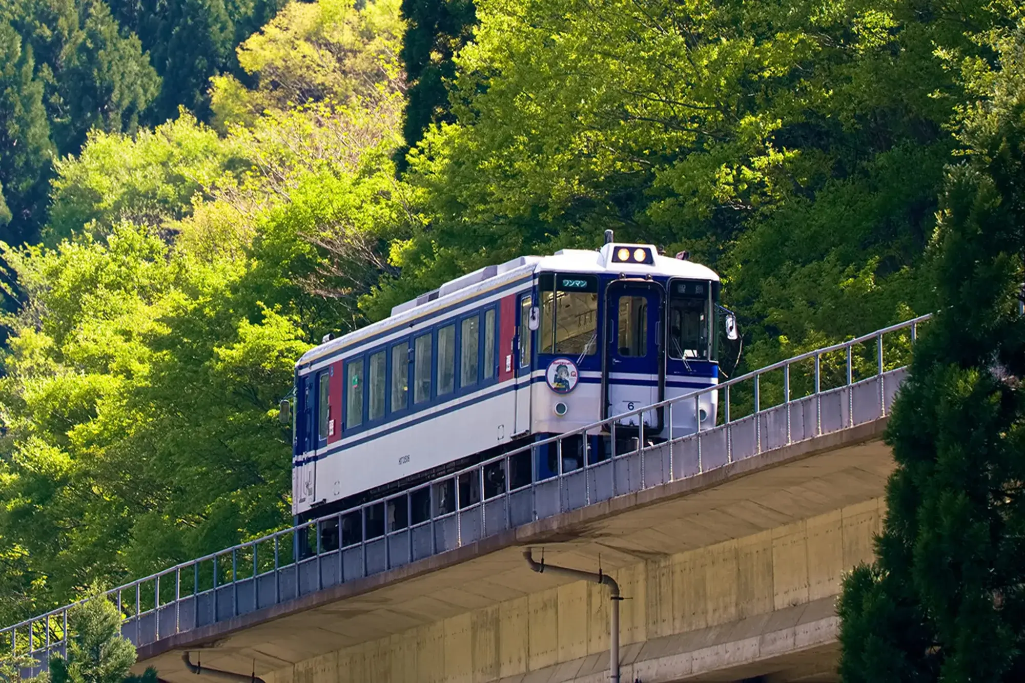 里山ローカル旅「山のくつろぎ空間」自然と共に過ごすひととき