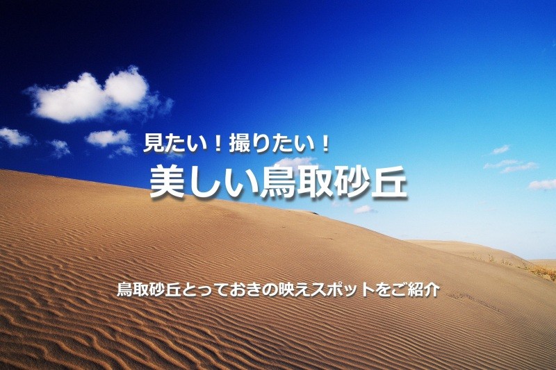 「見たい！撮りたい！鳥取砂丘の美しい風景」0万年以上の歳月をかけてできた鳥取砂丘。この大自然が生み出したダイナミックな風景は目に焼き付け、ぜひとも写真に収めておきたいもの。鳥取砂丘とっておきの映えスポットをご紹介します。