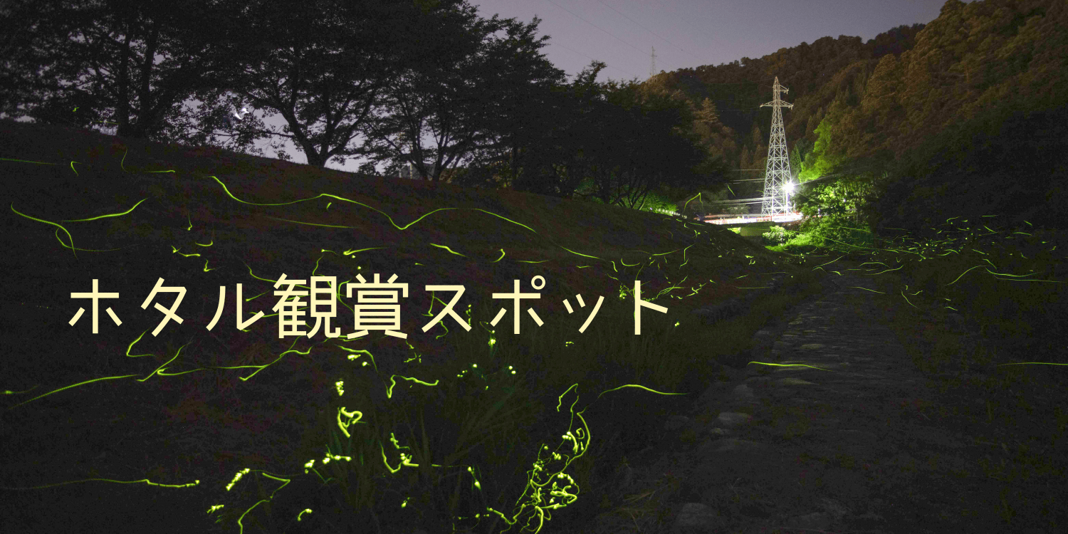 【2025】ホタル観賞スポット&イベント
