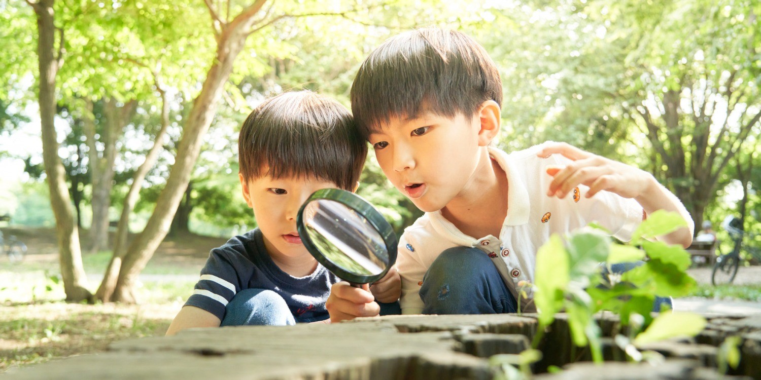 夏休みの自由研究は鳥取旅行で完成！ジャンル別おすすめスポット紹介