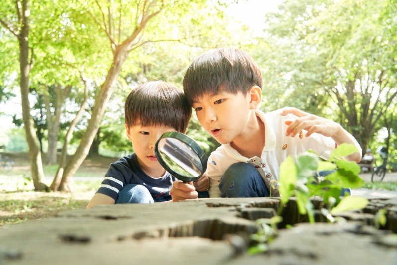 夏休みの自由研究は鳥取旅行で完成！ジャンル別おすすめスポット紹介