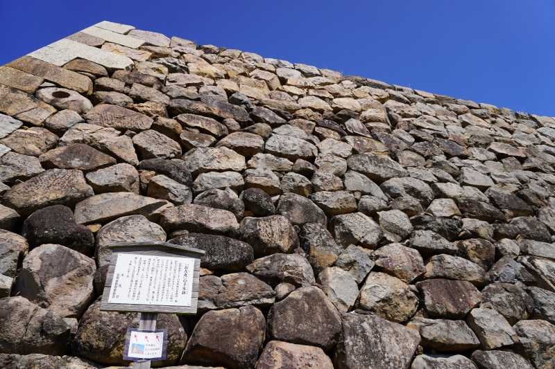 7月1日(金)~、「麒麟のまち(鳥取東部・兵庫北西部エリア)遊び・体験が最大半額キャンペーン」がスタートします❗️