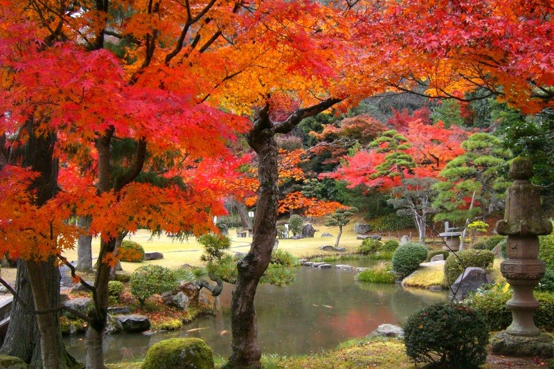 「秋の夕日に照る山紅葉」という歌詞の「紅葉」は鳥取出身の岡野貞一が作曲した曲です。岡野貞一による作曲には、この曲のほかに、「ふるさと」があります。こちらの特集では、鳥取のおすすめ紅葉スポットをご紹介します。