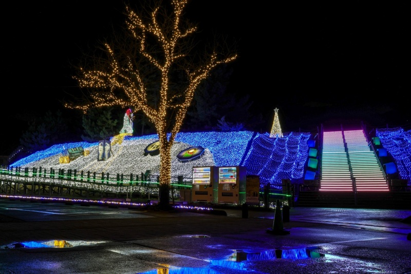 【2025】ライトアップイベントガイド★