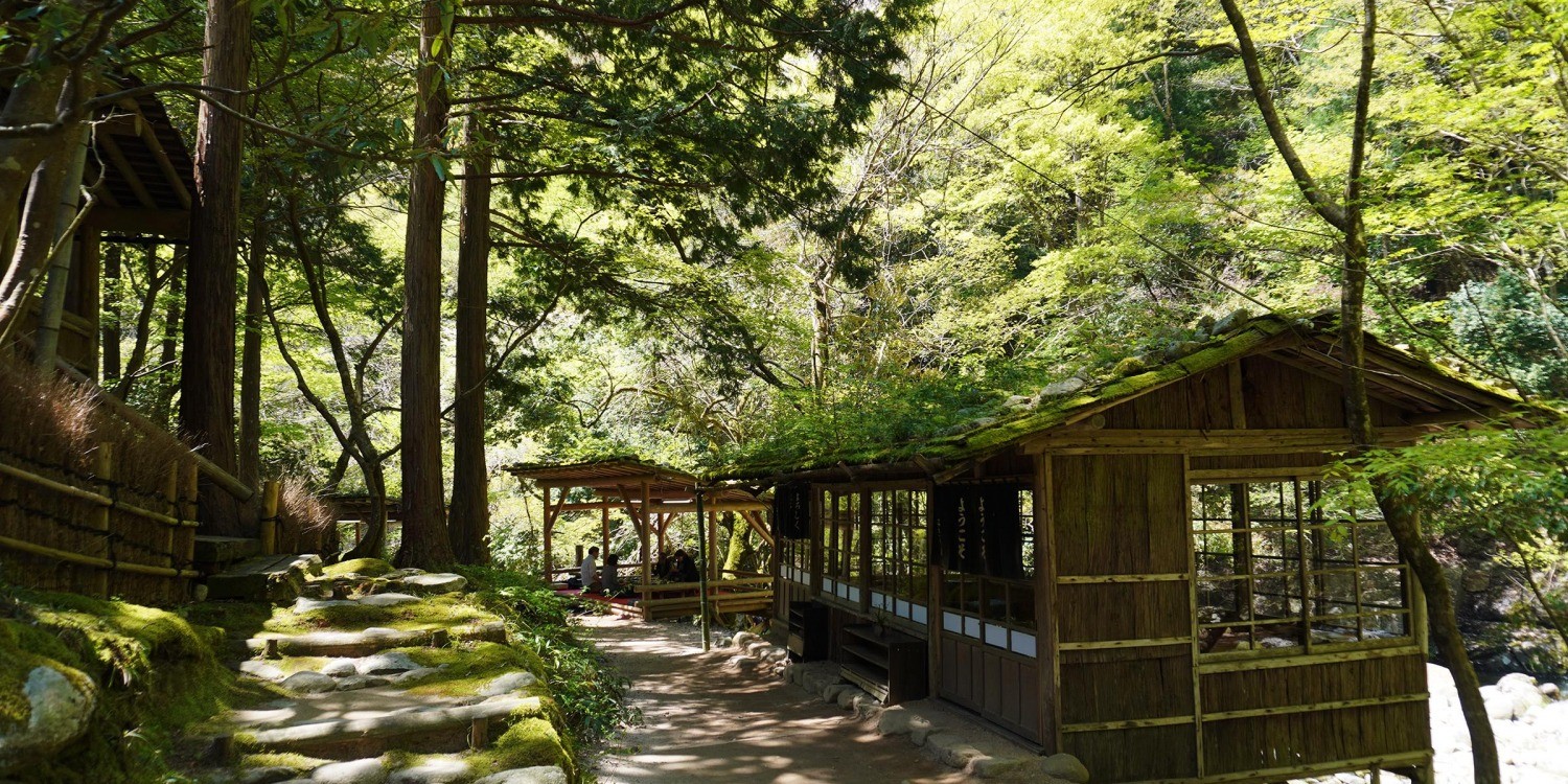 山の暮らし、山の空気に触れるリラクゼーションランチ！—智頭町