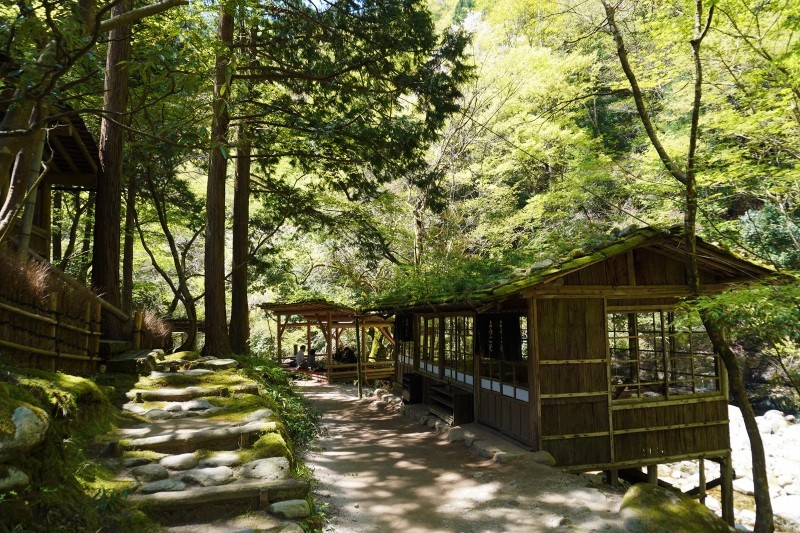 山の暮らし、山の空気に触れるリラクゼーションランチ！—智頭町