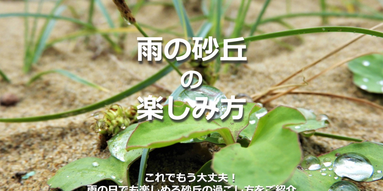 雨の日でも大丈夫！雨の鳥取砂丘の楽しみ方