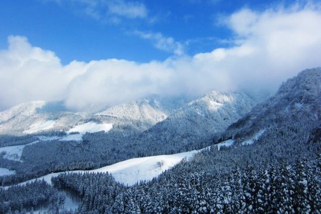 風が育む「雪」の賜物