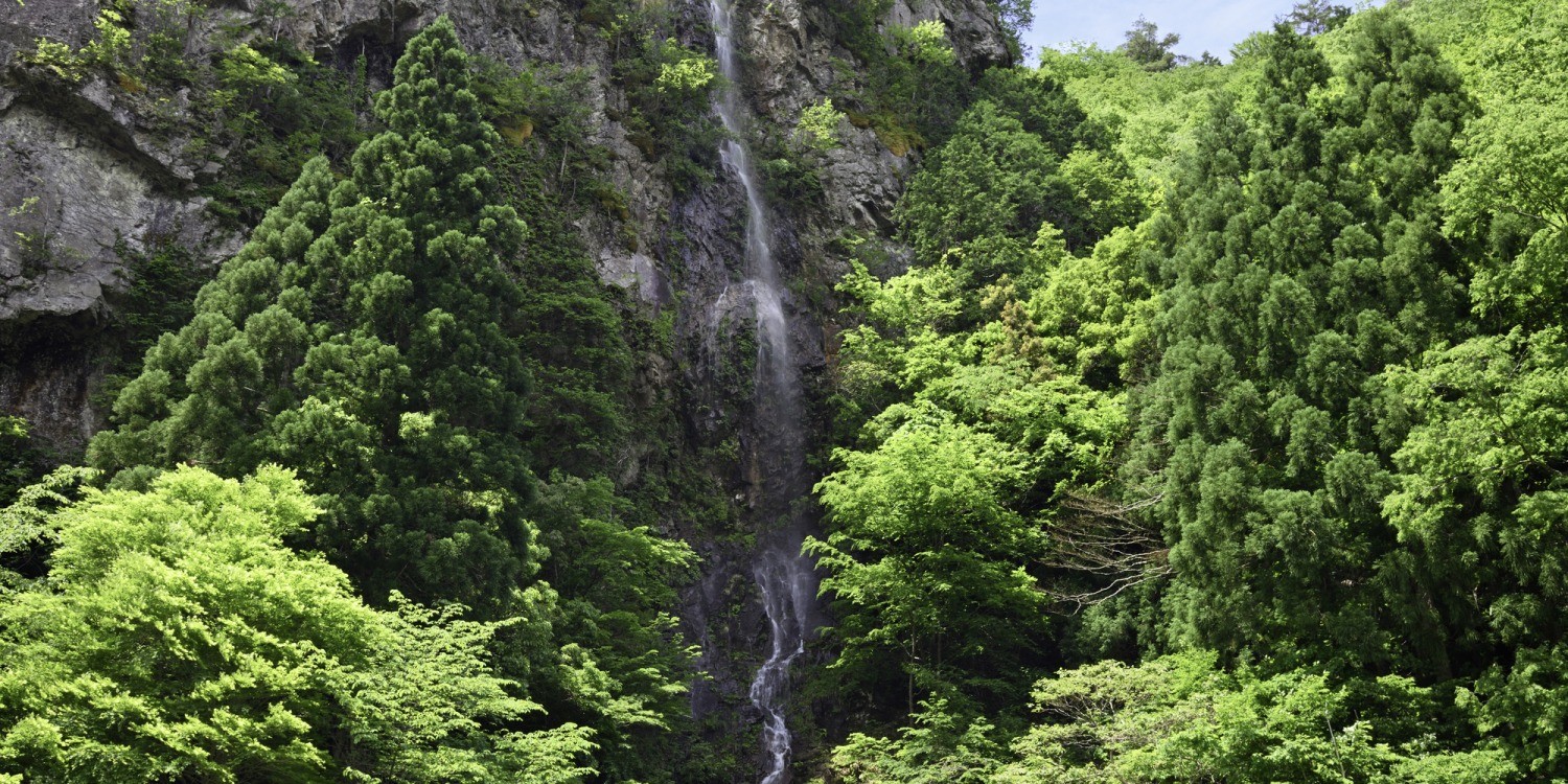 智頭町の観光スポットをご紹介