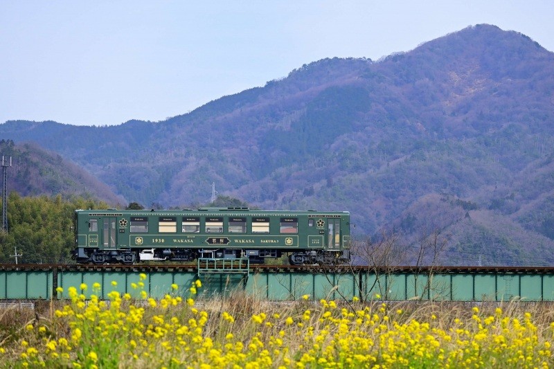 【NEW】若桜鉄道（郡家駅～若桜駅）で行くローカル鉄道の旅！