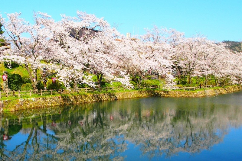 【NEW】「咲く！お花見スポット特集まとめ」寒い冬がおわり、待ちに待った春・桜の季節がやってきました！この特集ではこのへんのおすすめ桜スポットを一挙にご紹介。お気に入りの桜スポットを探してお花見に出かけよう♪