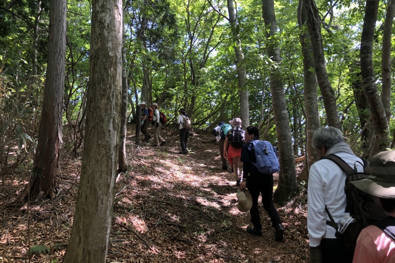 日本三百名山から地域の山まで　八頭町トレッキング！！