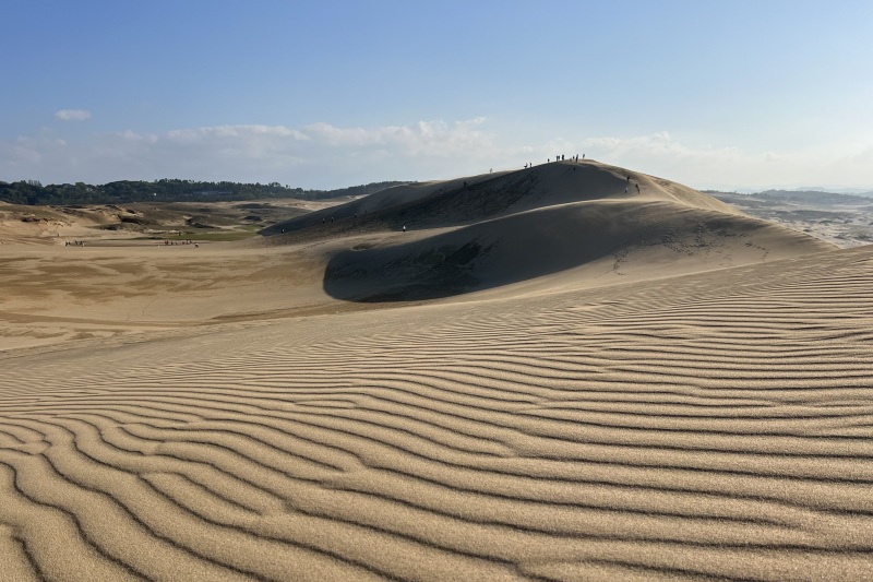 鳥取砂丘の歩き方「砂地をススメ」