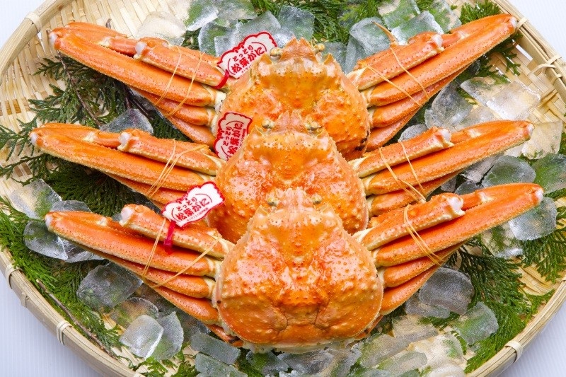 Male snow crabs from Tottori Prefecture are called “Tottori Matsuba crabs”