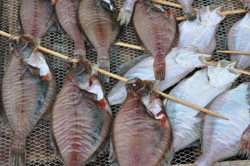 另一款受歡迎的鰈魚「松木高眼鰈」,最適合做成一夜干
