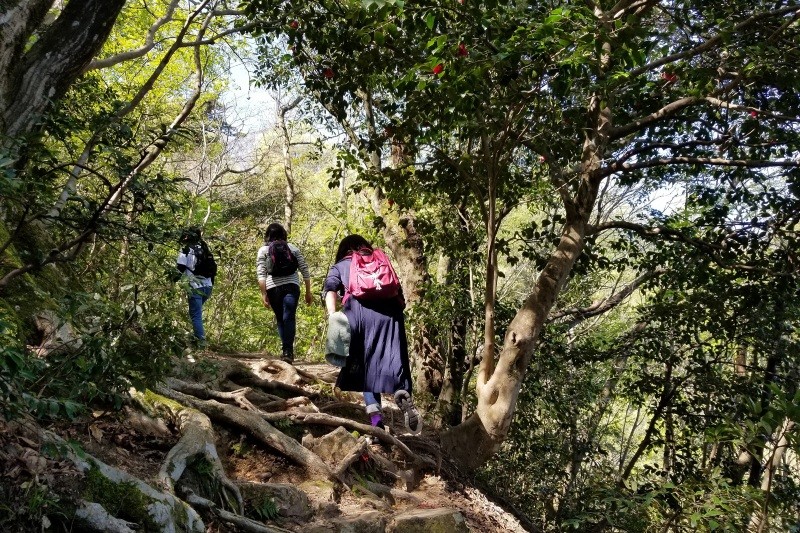 登山道