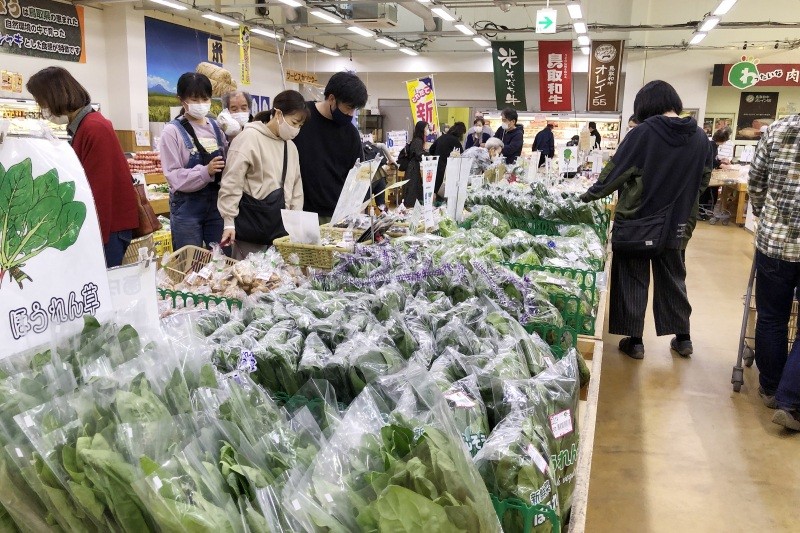 新鮮な野菜が並ぶ