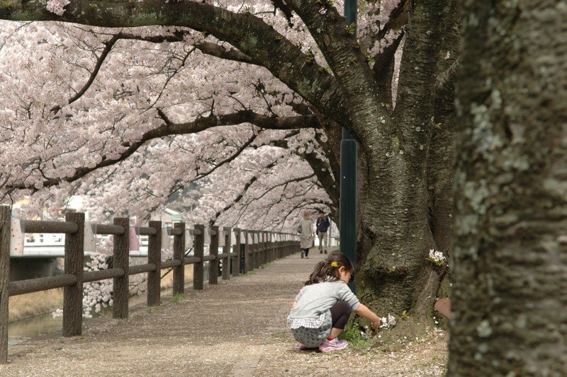 袋川土手