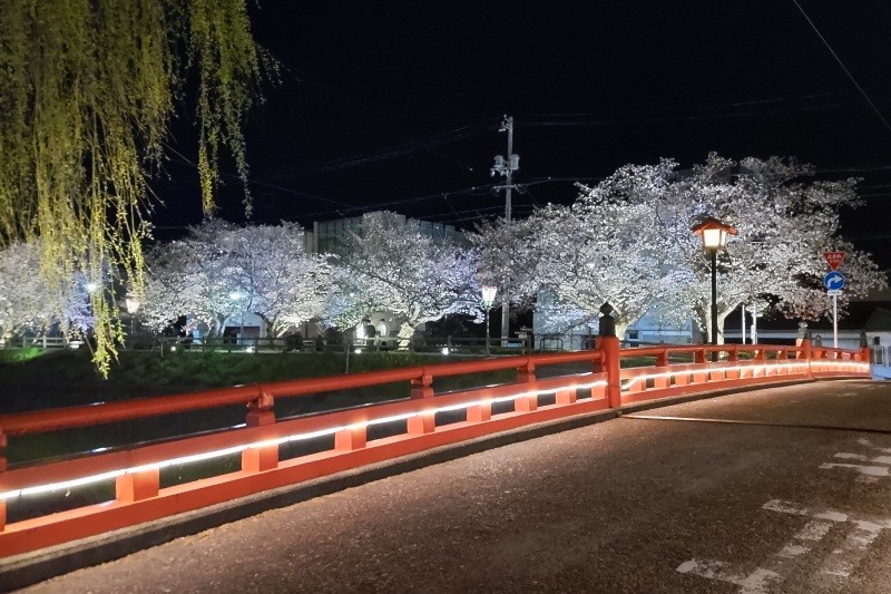 2024年4月4日撮影　花見橋