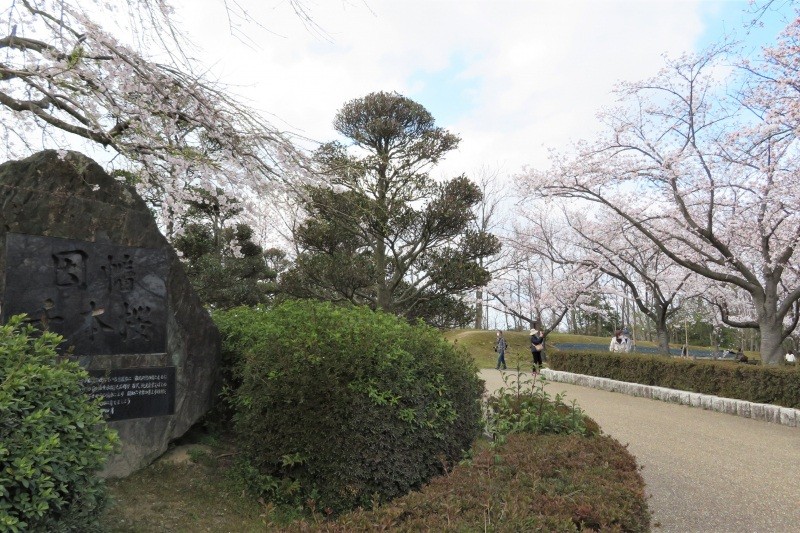 因幡千本桜「桜の園」