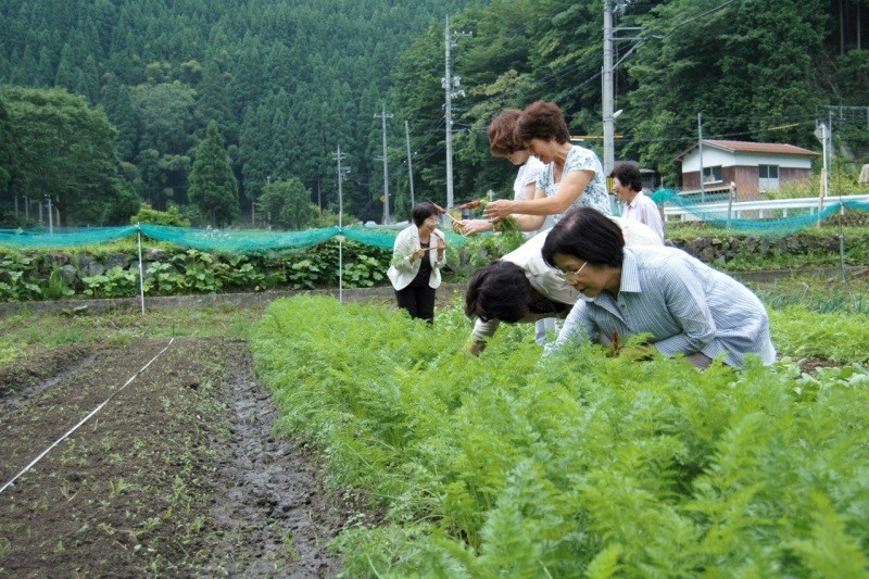 日帰りでも気軽に民泊体験！