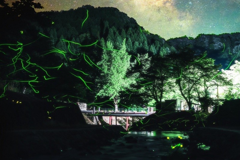 画像提供　美歎水源地保存会
