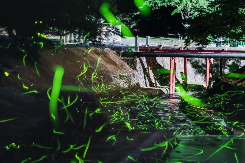 画像提供　美歎水源地保存会