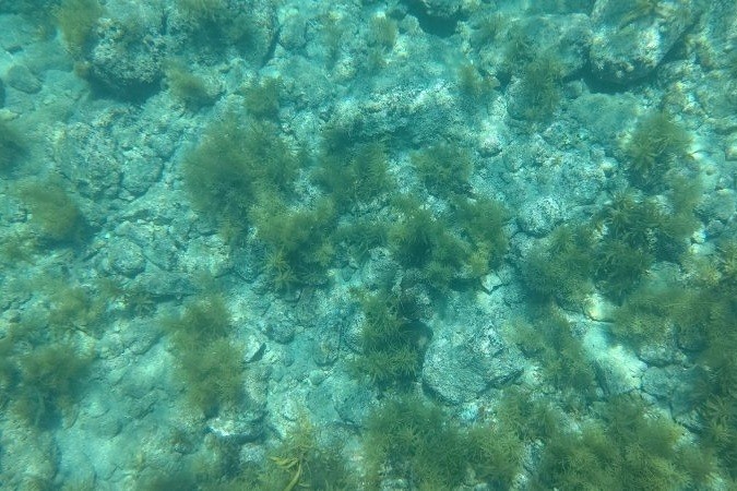 美しい岩美ブルーの海