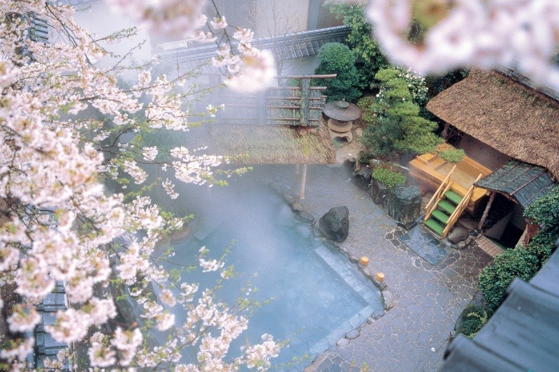 桜と温泉で癒やされる露天風呂（昼）