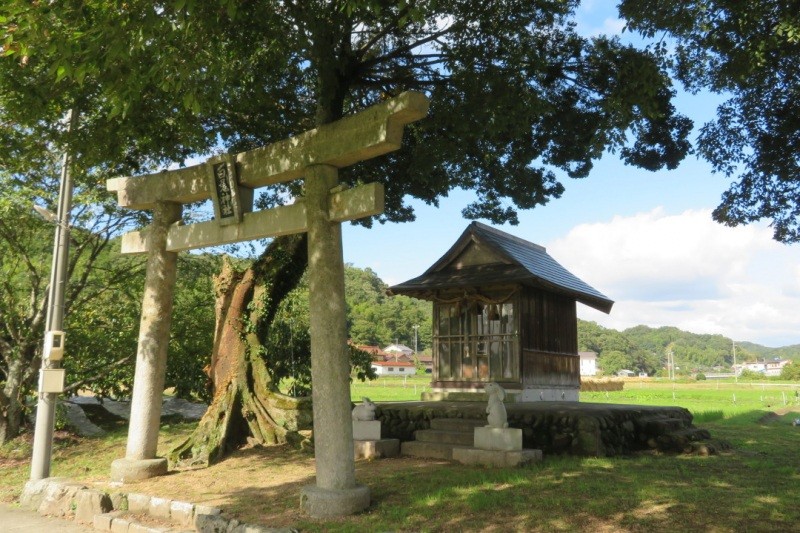 ＜もうひとつの白兎伝説＞　八頭町福本の白兎神社