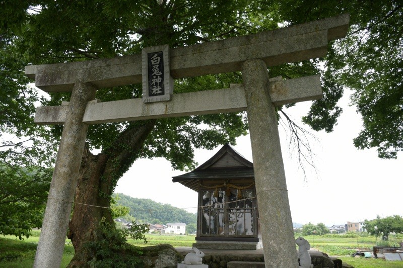 八頭町福本　白兎神社