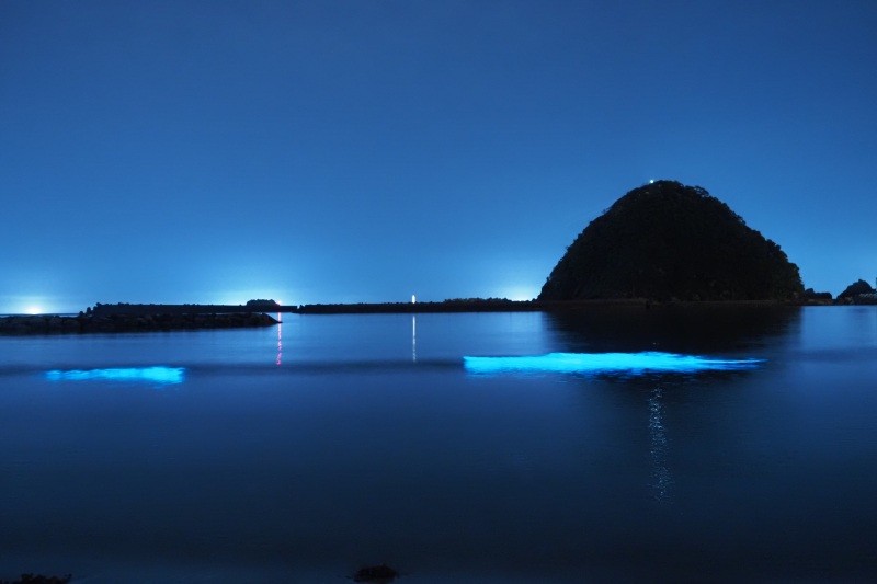 夏の夜の七坂八峠（居組海水浴場）