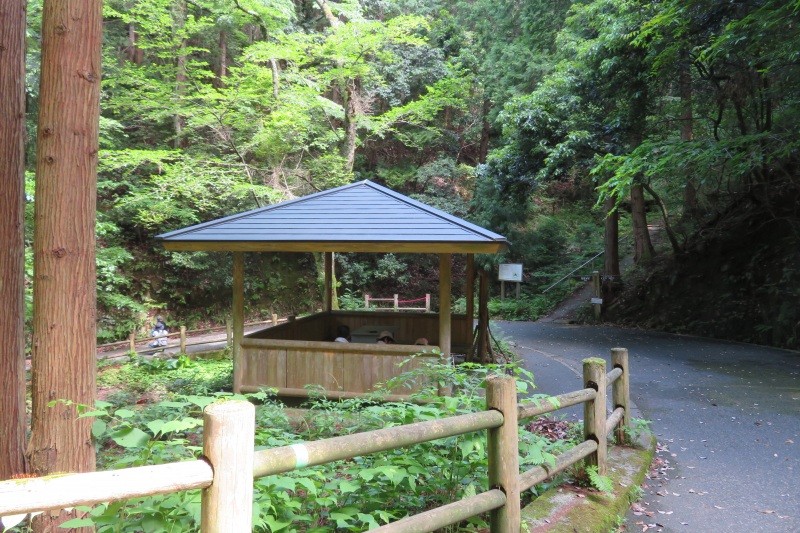 鳥取東照宮から太閤ヶ平へ向かう道