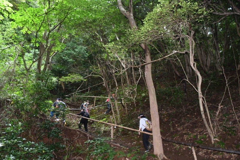 大崎城への道