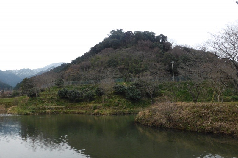 鹿野城遠景