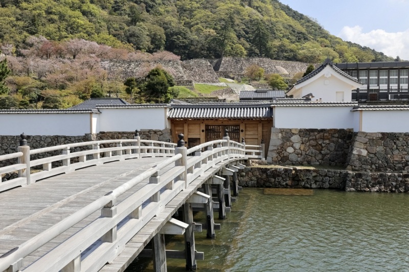 2025年3月7日撮影