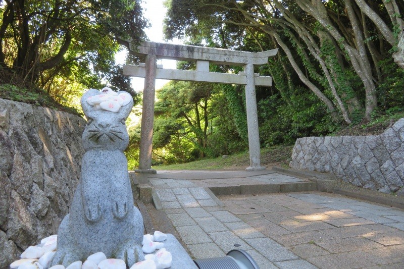 白兎神社　参道