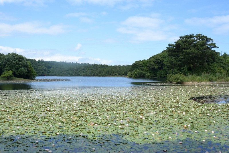 岡益の石堂