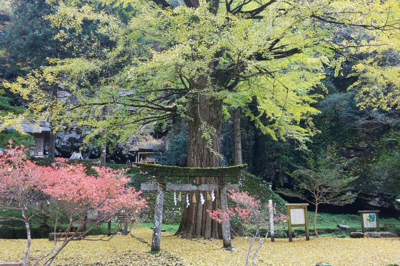 子守神社（青谷町）