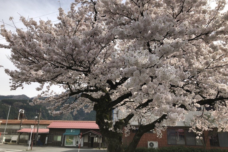 若桜鉄道　丹比駅