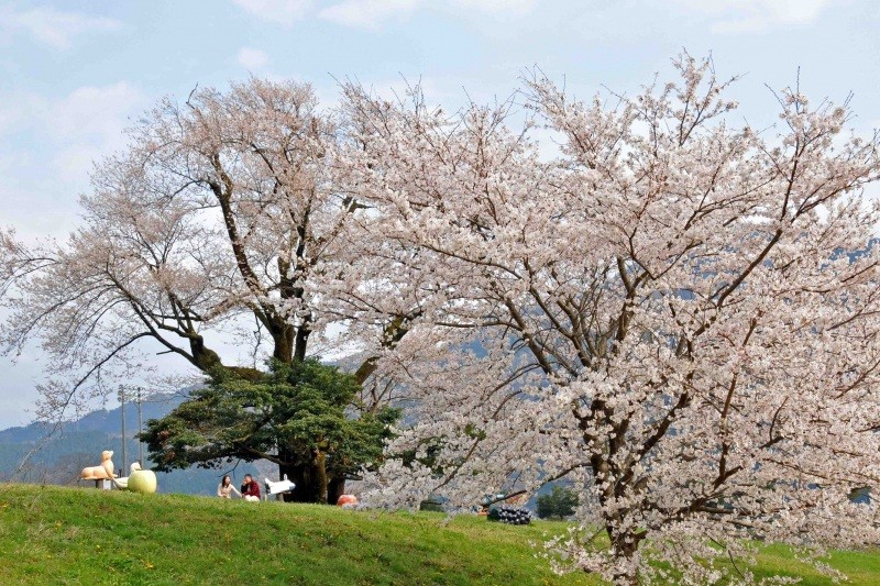 八東総合運動公園