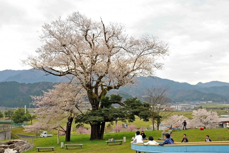 八東総合運動公園