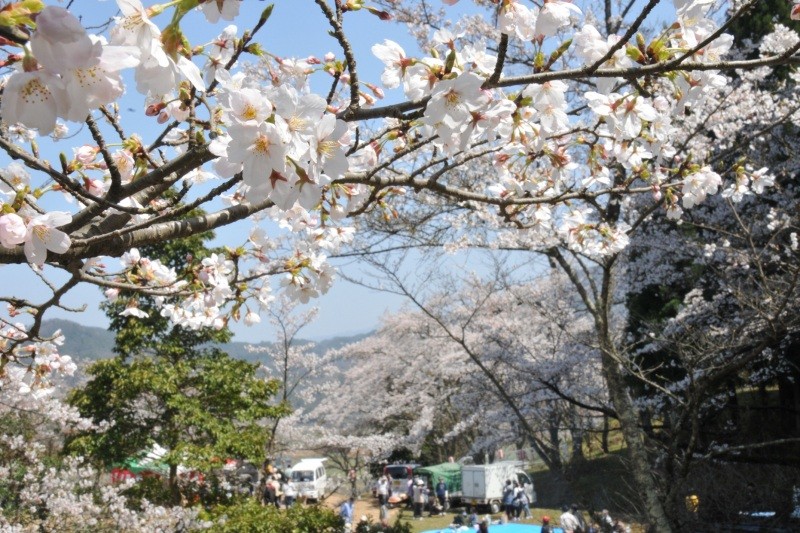 天満山公園