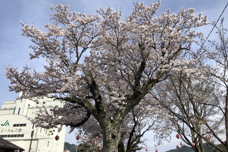 若桜鉄道　因幡船岡駅