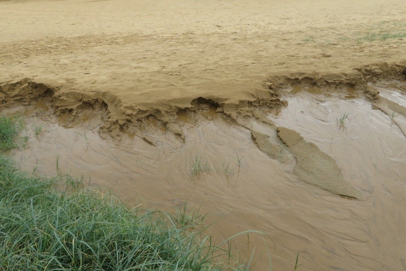 砂丘に降った雨が地下水になって湧き出している様子。