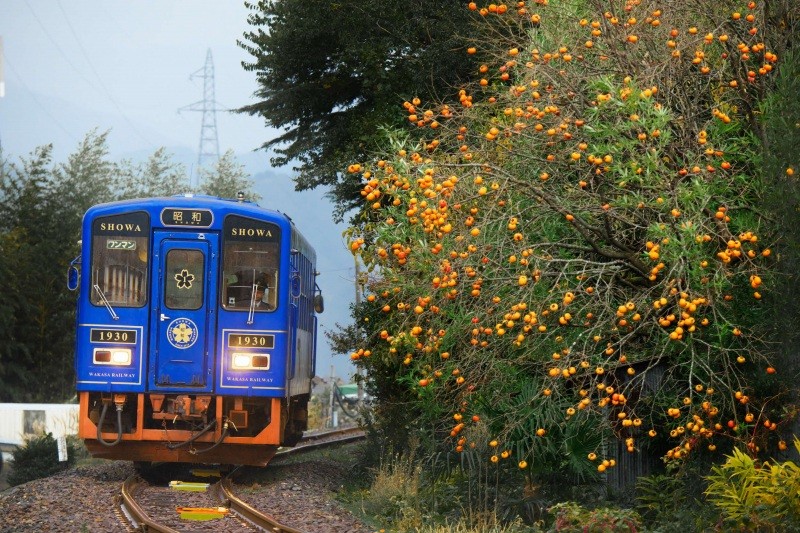 若桜鉄道「昭和号」