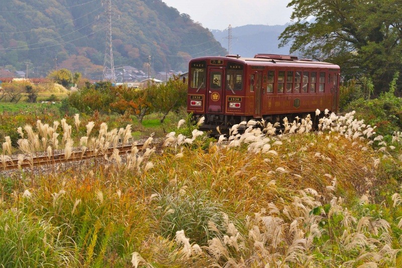 若桜鉄道「八頭号」