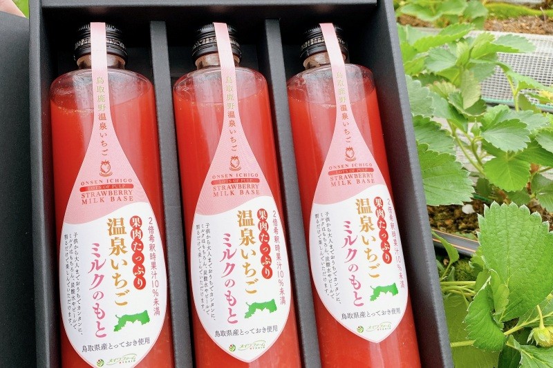 「温泉いちごミルクのもと」とっとり市（ネット）でも買えます