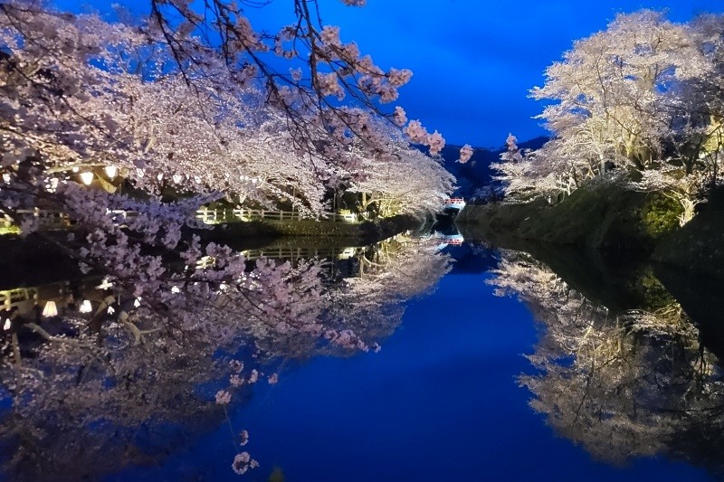 「鹿野城跡」約500本のソメイヨシノが咲き誇る桜の名所